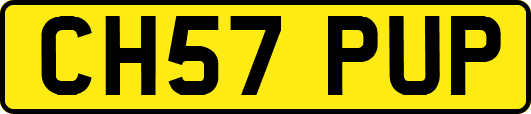 CH57PUP