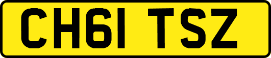 CH61TSZ