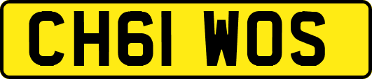 CH61WOS