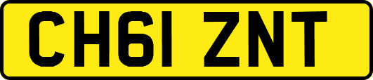 CH61ZNT