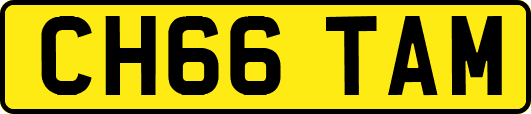 CH66TAM
