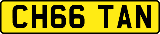CH66TAN