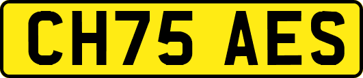 CH75AES
