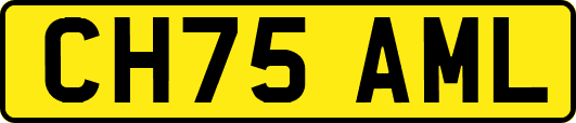 CH75AML