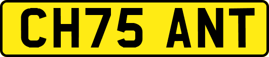 CH75ANT