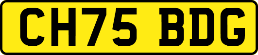 CH75BDG