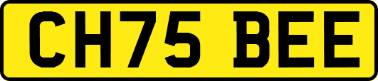 CH75BEE