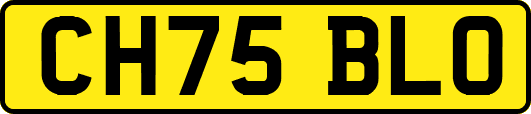 CH75BLO