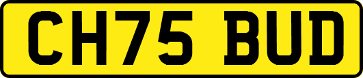 CH75BUD