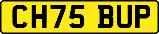 CH75BUP