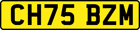 CH75BZM