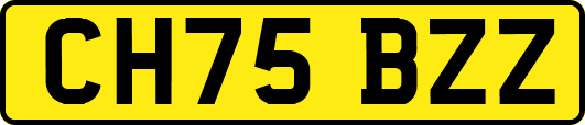 CH75BZZ