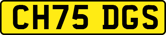 CH75DGS