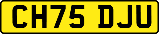 CH75DJU