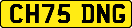 CH75DNG