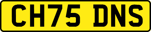 CH75DNS