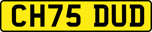 CH75DUD