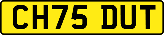 CH75DUT