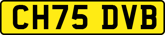 CH75DVB