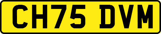CH75DVM