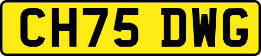 CH75DWG