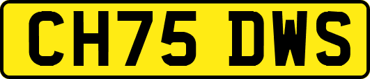 CH75DWS