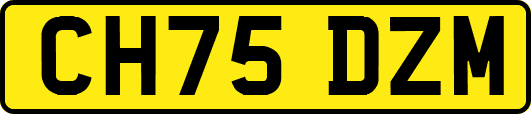 CH75DZM