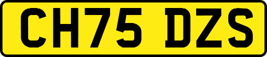 CH75DZS