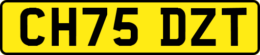 CH75DZT