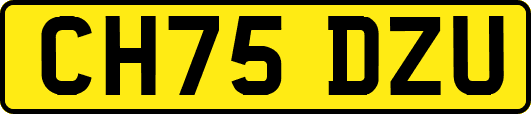 CH75DZU