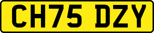 CH75DZY