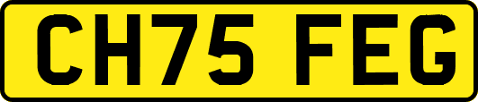 CH75FEG