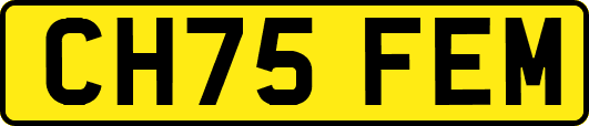 CH75FEM