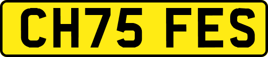 CH75FES