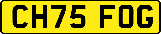 CH75FOG