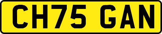 CH75GAN