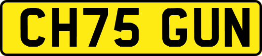 CH75GUN