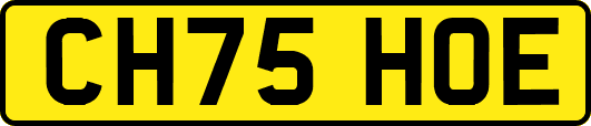 CH75HOE