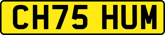 CH75HUM