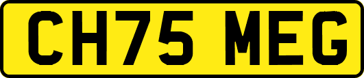 CH75MEG