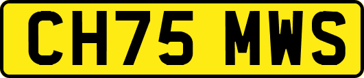 CH75MWS