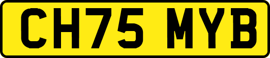 CH75MYB