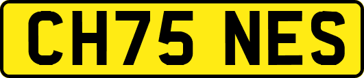 CH75NES