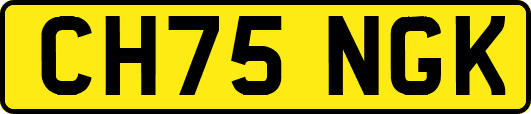 CH75NGK