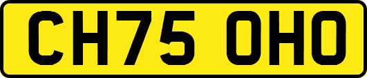 CH75OHO