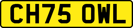 CH75OWL