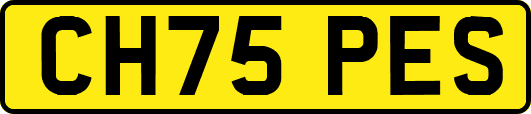 CH75PES