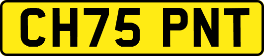 CH75PNT