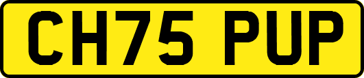 CH75PUP