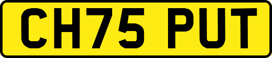 CH75PUT